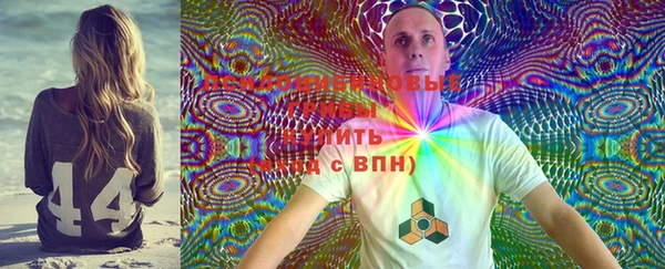 соль ск Алзамай