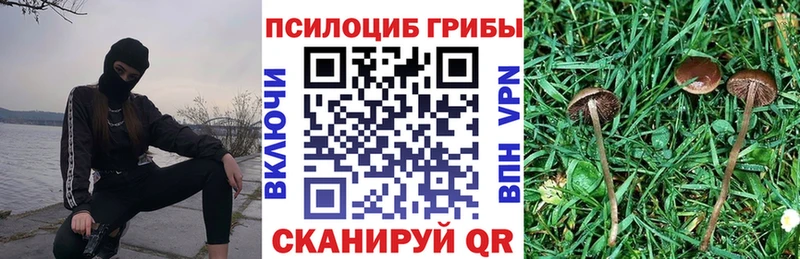 Галлюциногенные грибы ЛСД где купить наркотик Камбарка